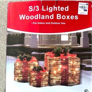 Lighted Woodland Boxes Set of 3 - Red